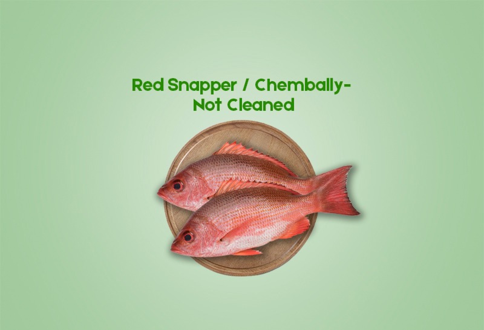 Cleaned Red Snapper / Slik Chembally (300gm)